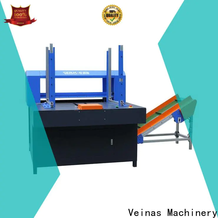 Veinas plate epe foam sheet machine manufacturers manufacturer for factory