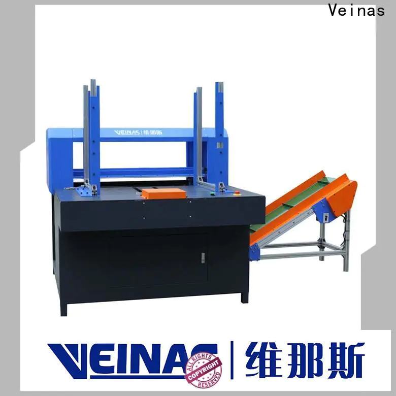 Veinas removing epe foam sheet production line manufacturer for bonding factory