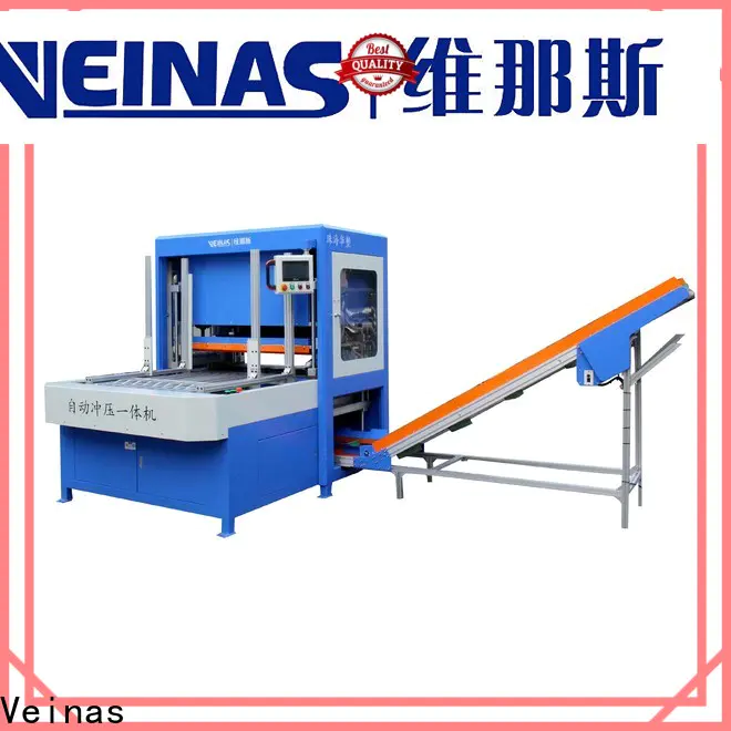 Veinas Bulk purchase hydraulic punching machine factory for factory
