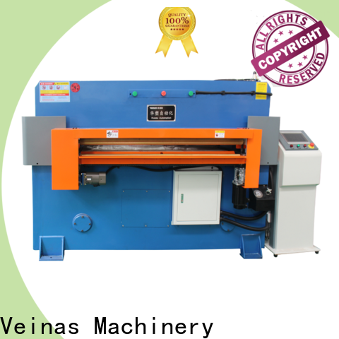 Veinas machine punch press machine manufacturers for packing plant