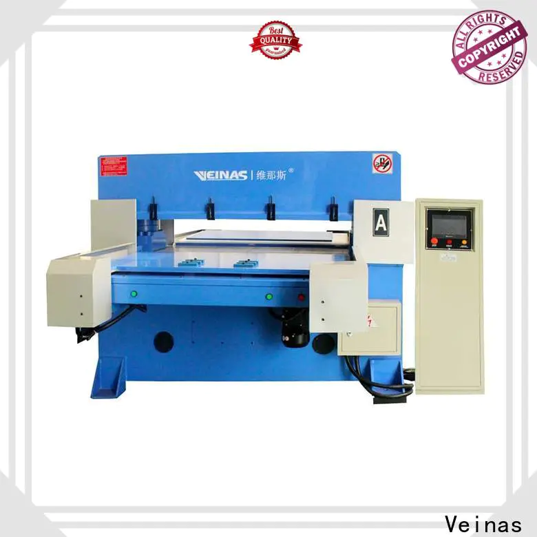 Veinas fourcolumn EPE punching machine factory for packing plant