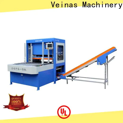 Veinas top hydraulic punching machine company for packing plant