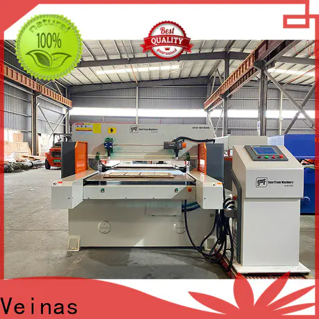 Veinas two epe foam sheet machine supply for factory