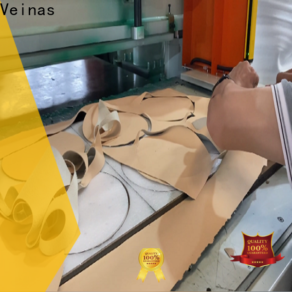 Veinas hydraulic punching machine epe company for foam