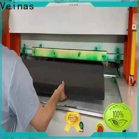 Veinas sludge dewatering machine factory for workshop