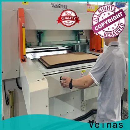 Veinas New EPS machinery price for factory