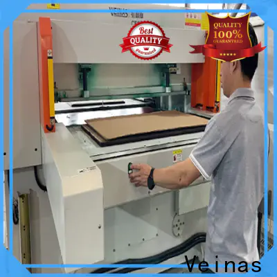 Veinas custom eps machinery price for cutting