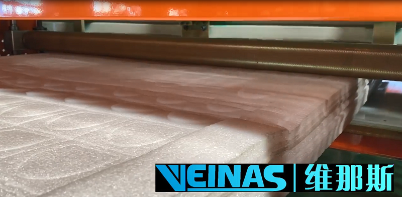 200T Veinas automatic press machine for 120mm EPE